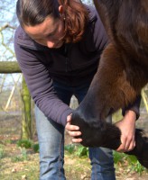 /album/portfolio-osteopatie/img-9296-1-jpg/